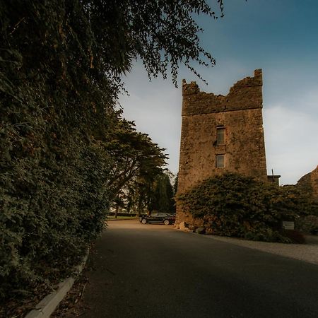 Killiane Castle Country House & Farm Drinagh Luaran gambar