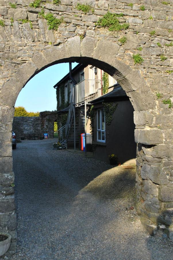 Killiane Castle Country House & Farm Drinagh Luaran gambar