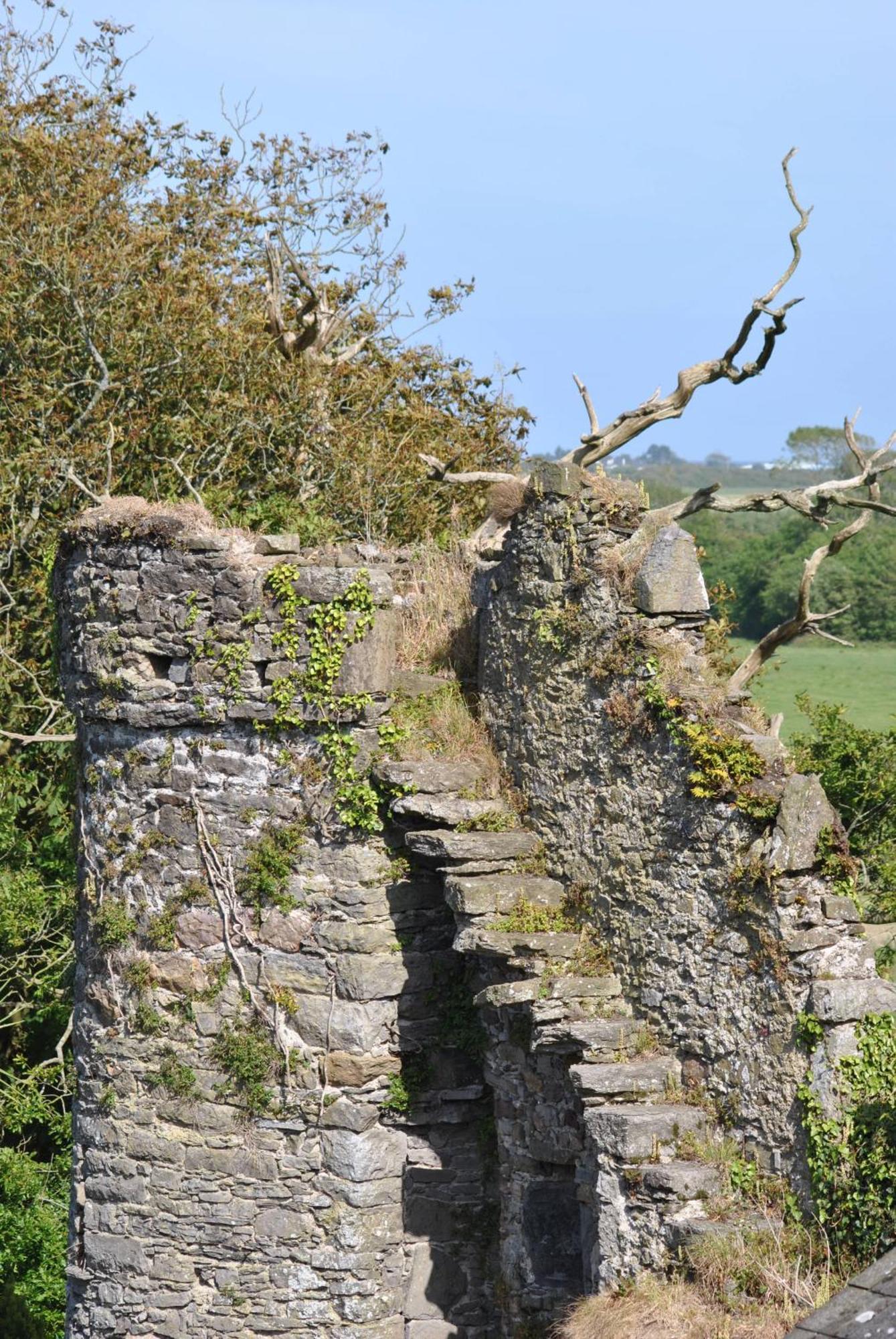 Killiane Castle Country House & Farm Drinagh Luaran gambar