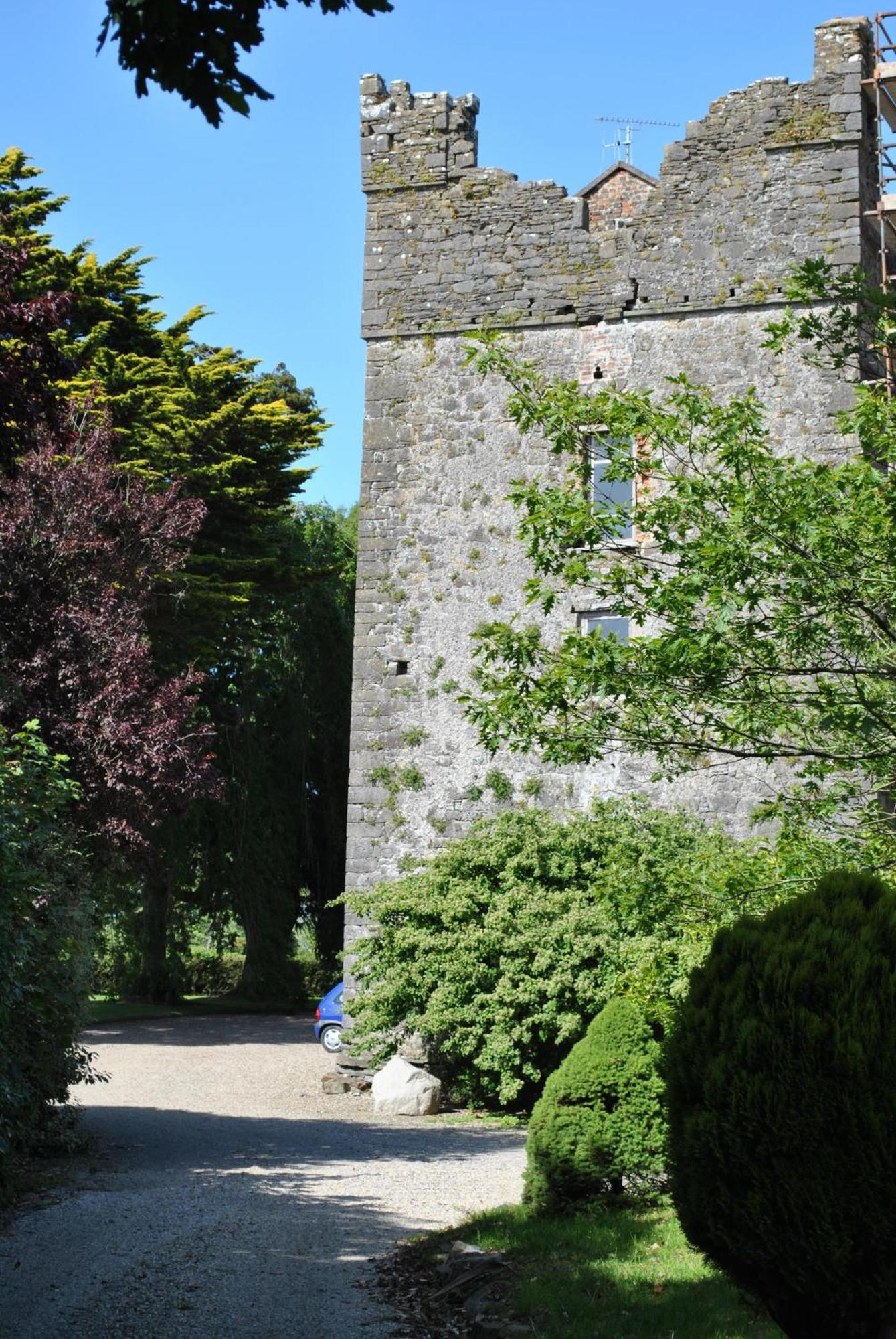 Killiane Castle Country House & Farm Drinagh Luaran gambar