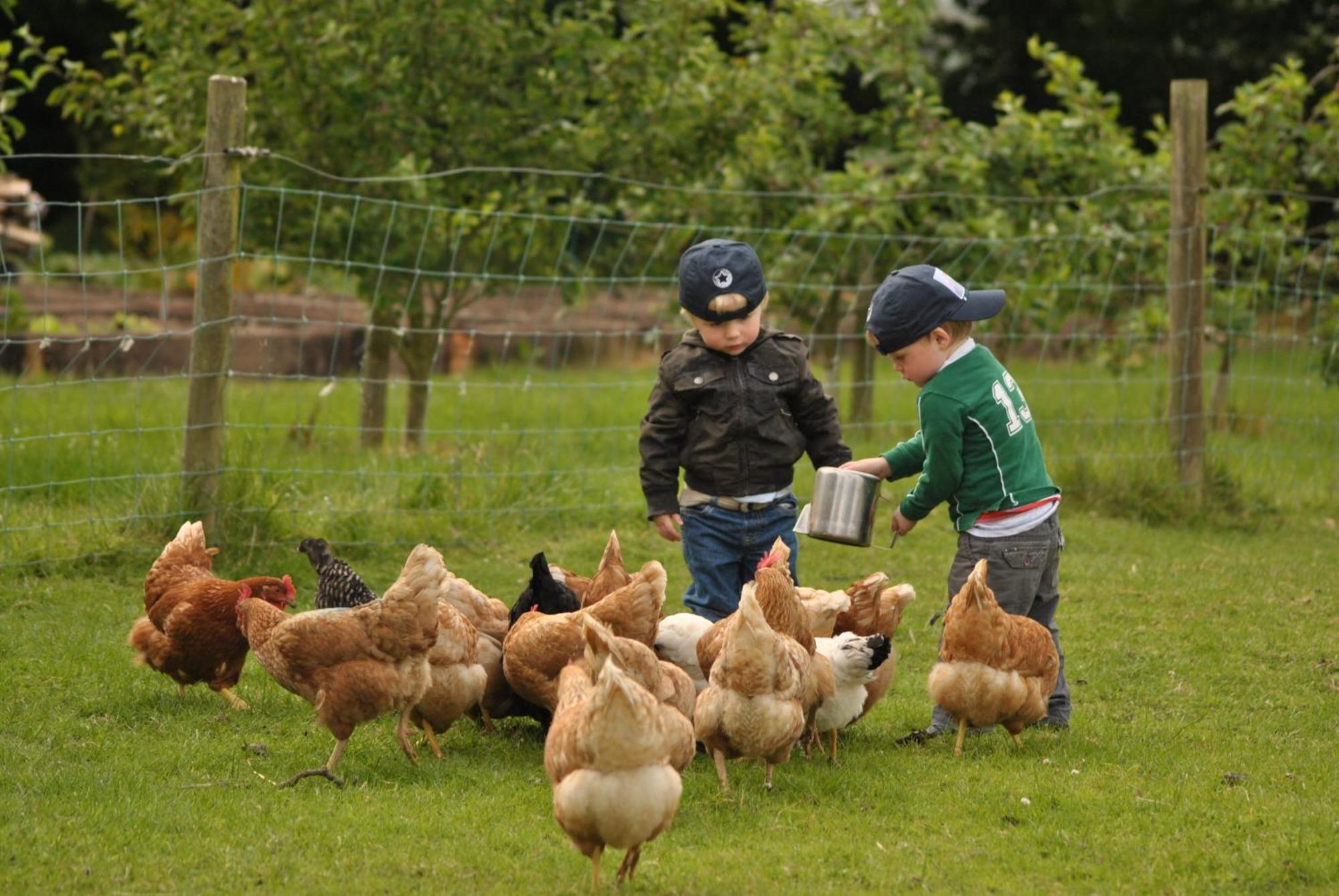 Killiane Castle Country House & Farm Drinagh Luaran gambar