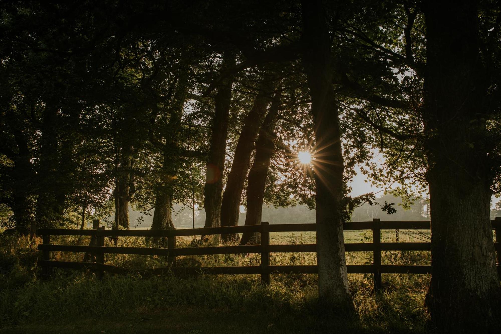 Killiane Castle Country House & Farm Drinagh Luaran gambar
