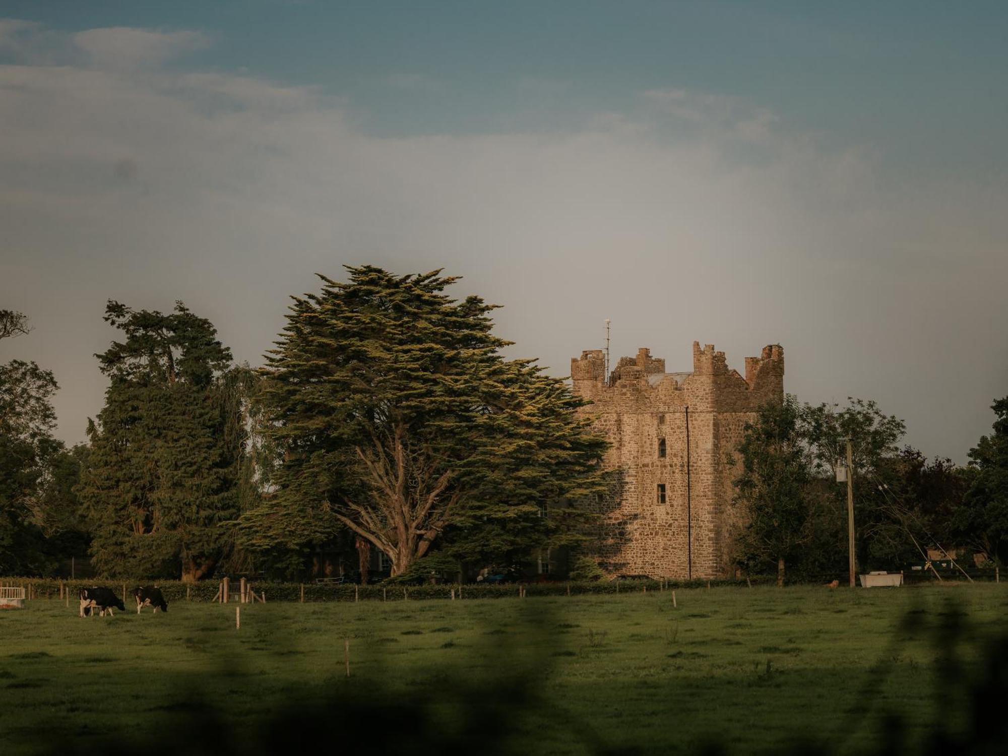 Killiane Castle Country House & Farm Drinagh Luaran gambar