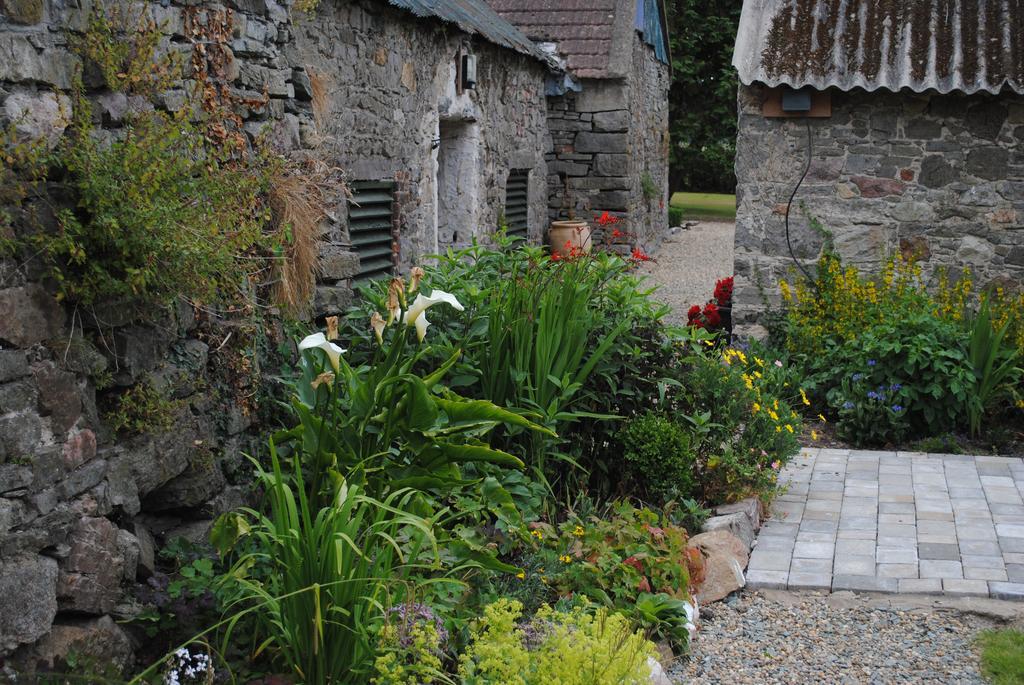 Killiane Castle Country House & Farm Drinagh Luaran gambar